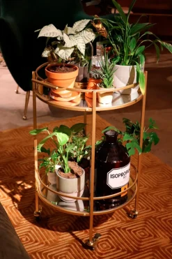 Outlet Servierwagen Emilia 85801 Servierwagen