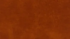 Sessel 22850 aleXx Sessel