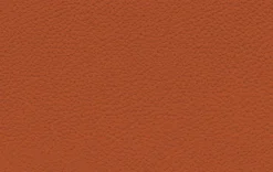 Rolf Benz Sessel|Sessel 582 Meg