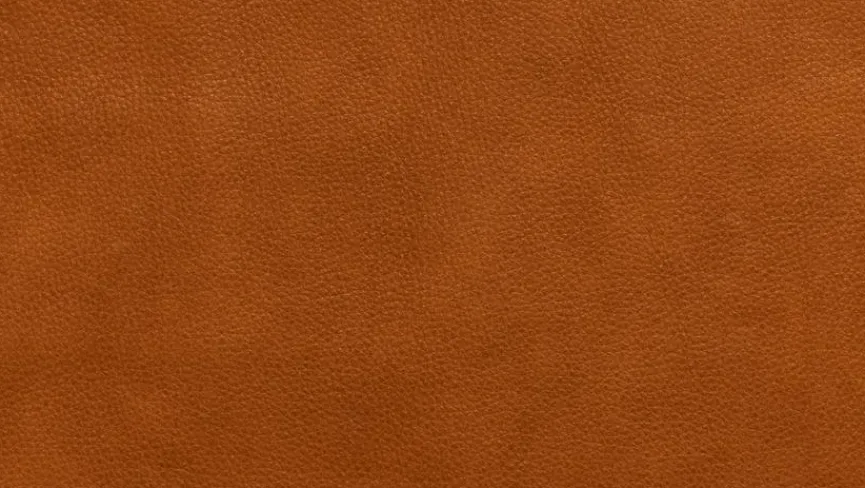 Outlet Sessel Jesro Sessel