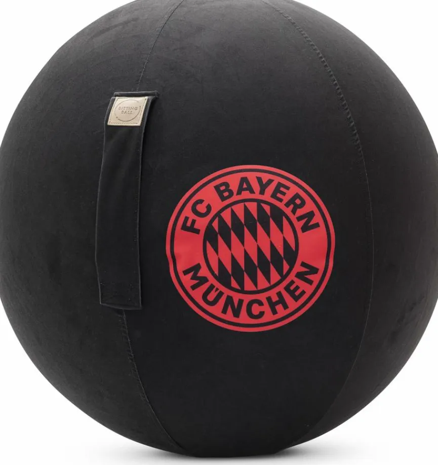 Sitting Point Sitzball FCB