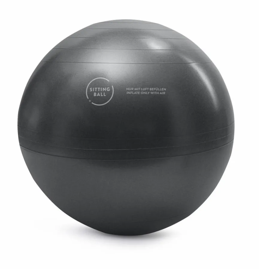 Sitting Point Sitzball FCB