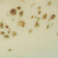 CreaTable Sojaschale Nature Collection 36 ml