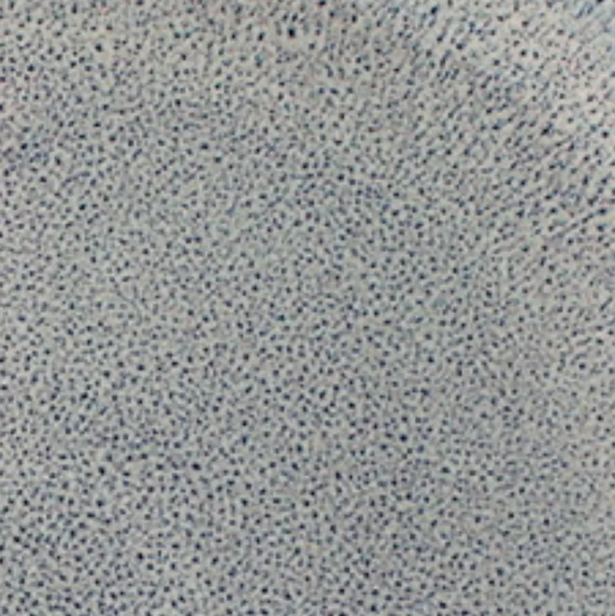 Best Speiseteller Lave Ø 28 cm Geschirr