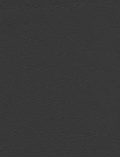 Outlet Stuhl Monte Stühle