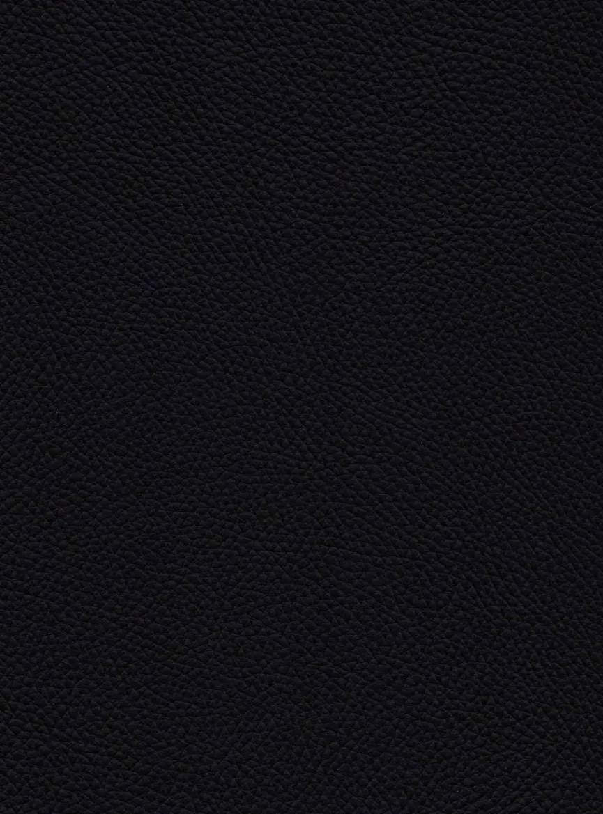 Discount Stuhl Sydney Stühle