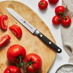 Zwilling Universalmesser Professional S