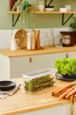 Rotho Vorratsdosen|Vorratsdose Cauma 1150 ml