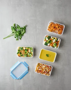 emsa Lunchboxes|Vorratsdosen|Vorratsdose Clip&Close 5tlg.