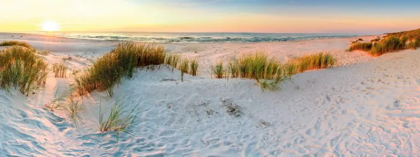 EUROART Bilder Nach Themen|Wandbild 80 x 30 cm Dunes