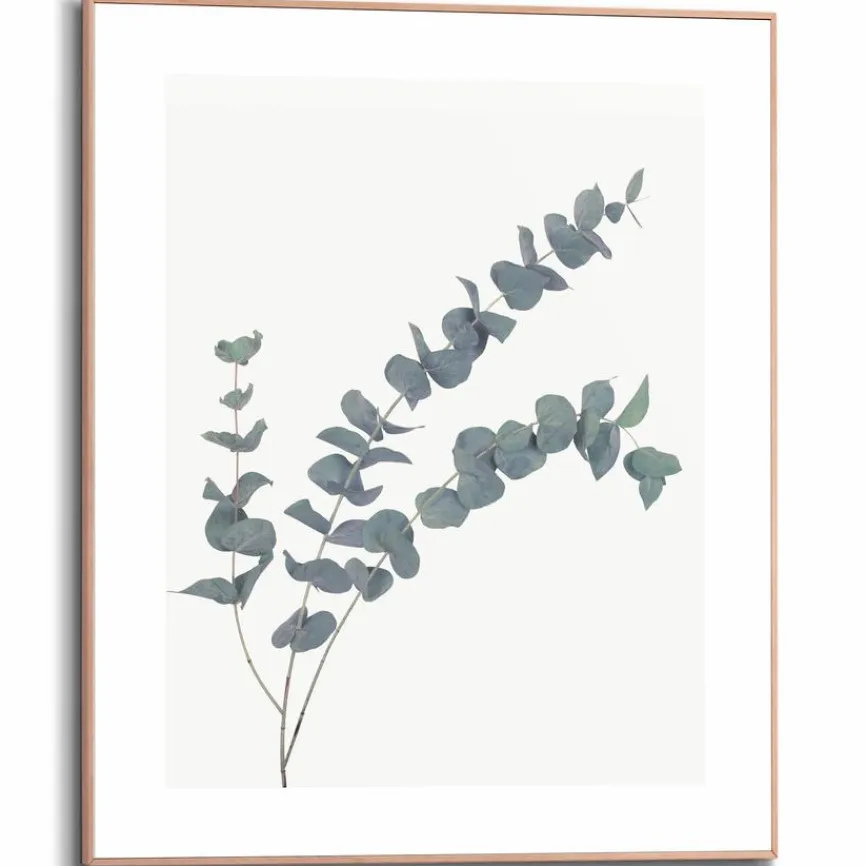 Best Wandbild 40 x 50 cm Eucalyptus Bilder Mit Rahmen|Bilder Nach Themen