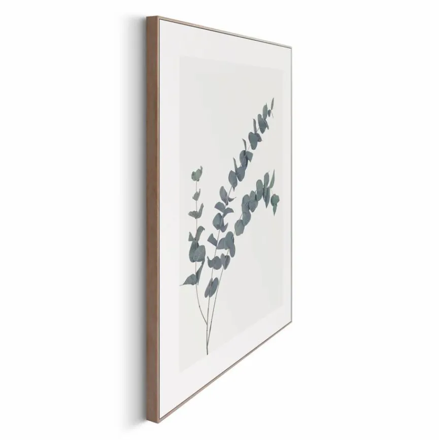 Best Wandbild 40 x 50 cm Eucalyptus Bilder Mit Rahmen|Bilder Nach Themen
