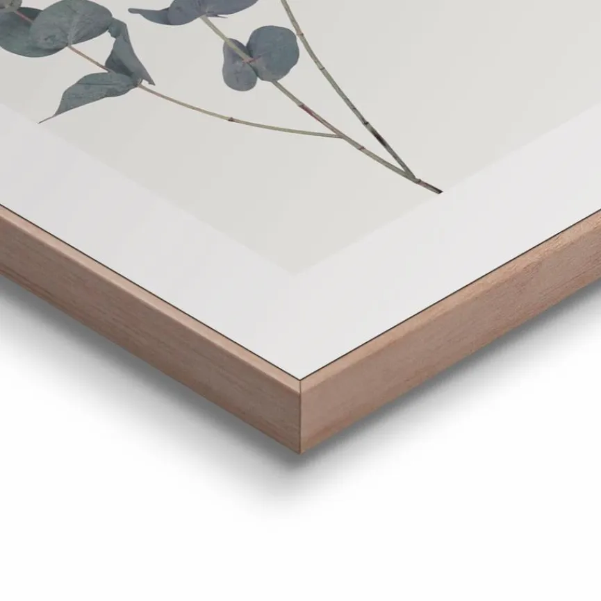Best Wandbild 40 x 50 cm Eucalyptus Bilder Mit Rahmen|Bilder Nach Themen