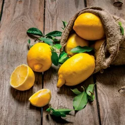 Clearance Wandbild 30 x 30 cm Fresh Lemon V Bilder Nach Themen