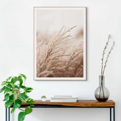 Reinders Bilder Mit Rahmen|Bilder Nach Themen|Wandbild 50 x 70 cm Gräser