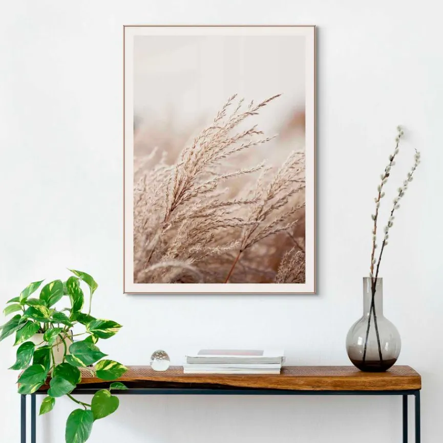 Reinders Bilder Mit Rahmen|Bilder Nach Themen|Wandbild 50 x 70 cm Gräser