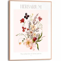 Reinders Bilder Mit Rahmen|Wandbild 30 x 40 cm Herbarium