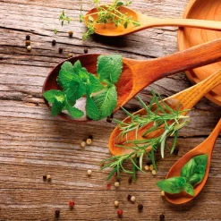 Hot Wandbild 30 x 30 cm Herbs of Provence I Bilder Nach Themen