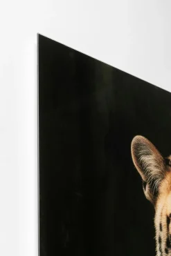 Wandbild 100 x 150 cm Mister Leo 56271 Bilder Ohne Rahmen|Bilder Nach Themen