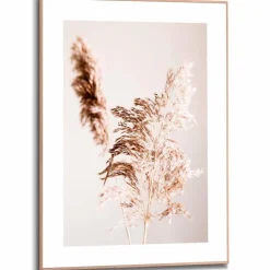 Hot Wandbild 50 x 70 cm Pampasgras Bilder Nach Themen|Bilder Mit Rahmen