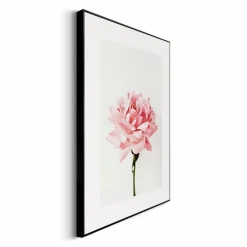 Reinders Wandbild 30 x 40 cm Pink Rose
