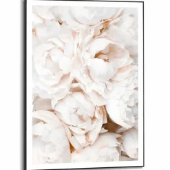 Reinders Bilder Mit Rahmen|Wandbild 50 x 70 cm White Roses