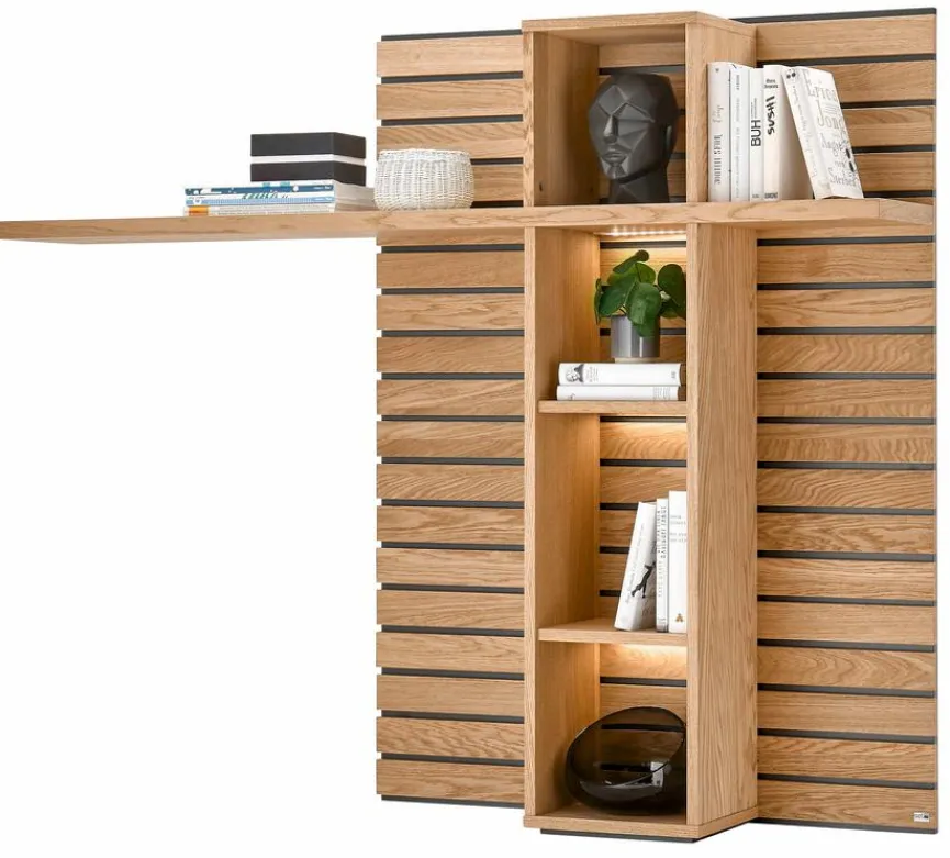 Best Wandpaneel Jackson Regale