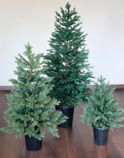 Für Den Weihnachtsbaum|Weihnachtsbaum 90 cm