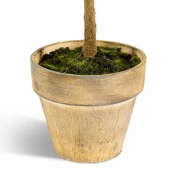 Weihnachtsbaum Nordmanntanne 92 cm