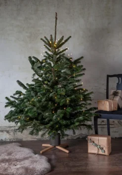 Star Trading Für Den Weihnachtsbaum|Weihnachtsbaumständer Granig