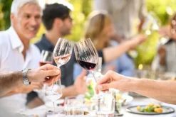 Clearance Weißweinglas Prizma 296 ml Gläser