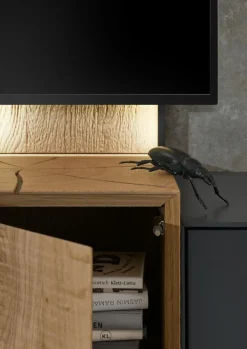 Musterring Wohnwände & Tv-Lowboards|Wohnwand Trevio