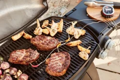 Zubehör IGrill Weber Grills & Grillzubehör